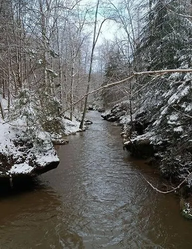 Im Fachwerkhaus Apartment